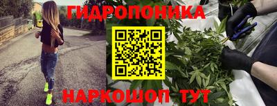 каннабис Кингисепп
