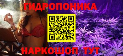 тгк Кимры