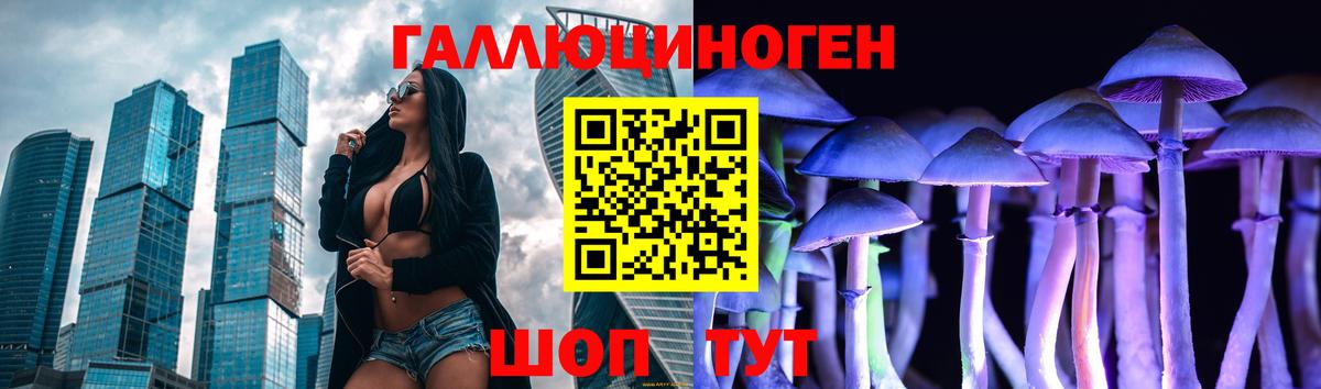 Галлюциногенные грибы GOLDEN TEACHER  Галлюциногенные грибы Psilocybine cubensis  Киселёвск  Вход с VPN 